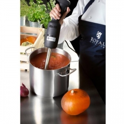 Royal Catering ® Mocny mikser blender robot ręczny dł. ramienia 400mm 350W 230V Royal Catering Hurtownia Sklep Cena Tani