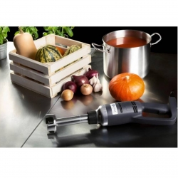 Royal Catering ® Mocny mikser blender robot ręczny dł. ramienia 250mm 350W 230V Royal Catering Hurtownia Sklep Cena Tani