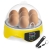 Inkubator wylęgarka klujnik do wylęgu 7 jaj + owoskop 20W Hurtownia Sklep Tanio