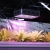 Karta produktu EEI Lampa do uprawy wzrostu roślin Hillvert LED 1200W czarna