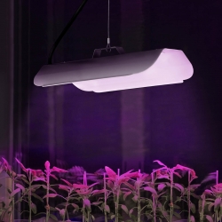 EAN 4062859022684 Lampa do wzrostu uprawy roślin pełne spektrum 25 x 12 cm 136 LED 50 W srebrna  Hurtownia Sklep
