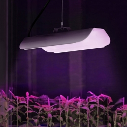EAN 4062859022691 Lampa do wzrostu uprawy roślin pełne spektrum 25 x 12 cm 68 LED 50 W srebrna  Hurtownia Sklep