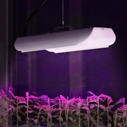EAN 4062859022707 Lampa do wzrostu uprawy roślin pełne spektrum 25 x 17 cm 136 LED 100 W srebrna  Hurtownia Sklep