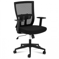 EAN 4062859002860 Krzesło fotel biurowy ergonomiczny z oparciem siatkowym i podparciem lędźwi maks. 150 kg Hurtownia Sklep