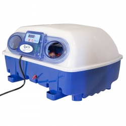 EAN 8068056992054 Inkubator klujnik do 24 jaj półautomatyczny z dozownikiem wody profesjonalny 100 W Hurtownia Sklep