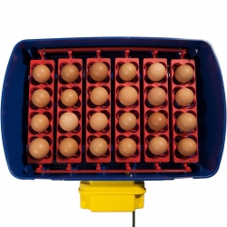 EAN 806808357335 Inkubator klujnik do 24 jaj automatyczny z systemem nawadniania profesjonalny 100 W Hurtownia Sklep