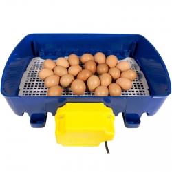 EAN 8068056992047 Inkubator klujnik do 24 jaj automatyczny z dozownikiem wody profesjonalny 100 W Hurtownia Sklep
