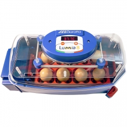EAN 806808357236 Inkubator klujnik do 8 jaj automatyczny z dystrybutorem wody profesjonalny 50 W Hurtownia Sklep