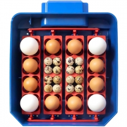 EAN 806808357380 Inkubator klujnik do 16 jaj automatyczny z systemem nawilżania profesjonalny 60 W Hurtownia Sklep