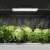 EAN 4062859022646 Lampa do uprawy wzrostu roślin pełne spektrum 30 x 24 cm 234 LED 1000 W srebrna  Hurtownia Sklep