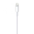 Apple 190199534865 Apple oryginalny kabel przewód do iPhone USB-A - Lightning 1m biały